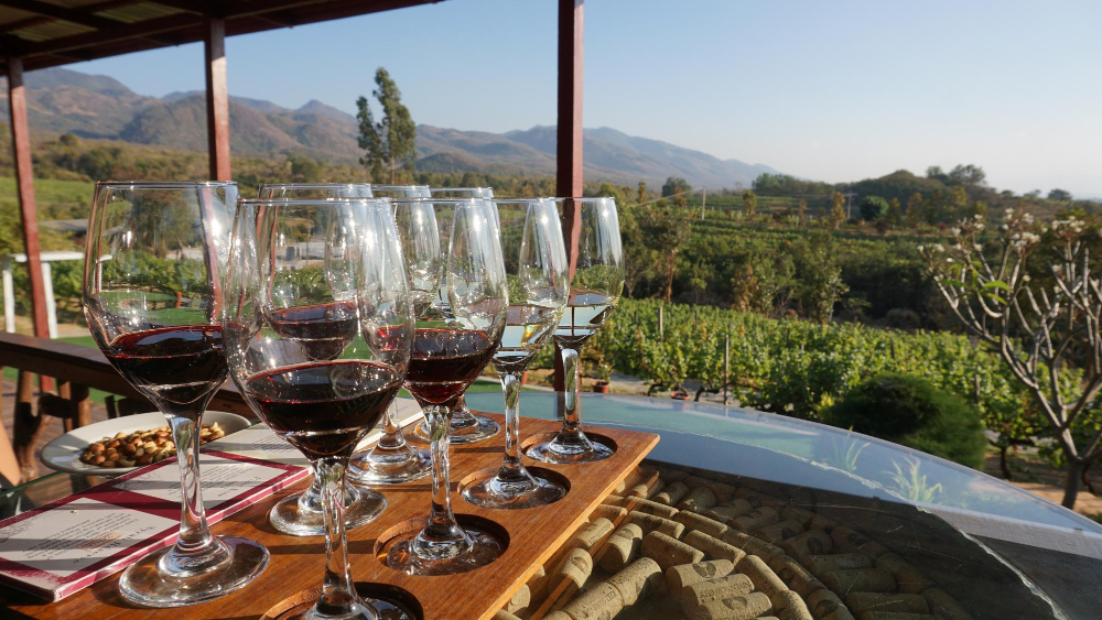 Luxury Retreats in Southern Illinois Wine Country Where Relaxation Meets Flavor