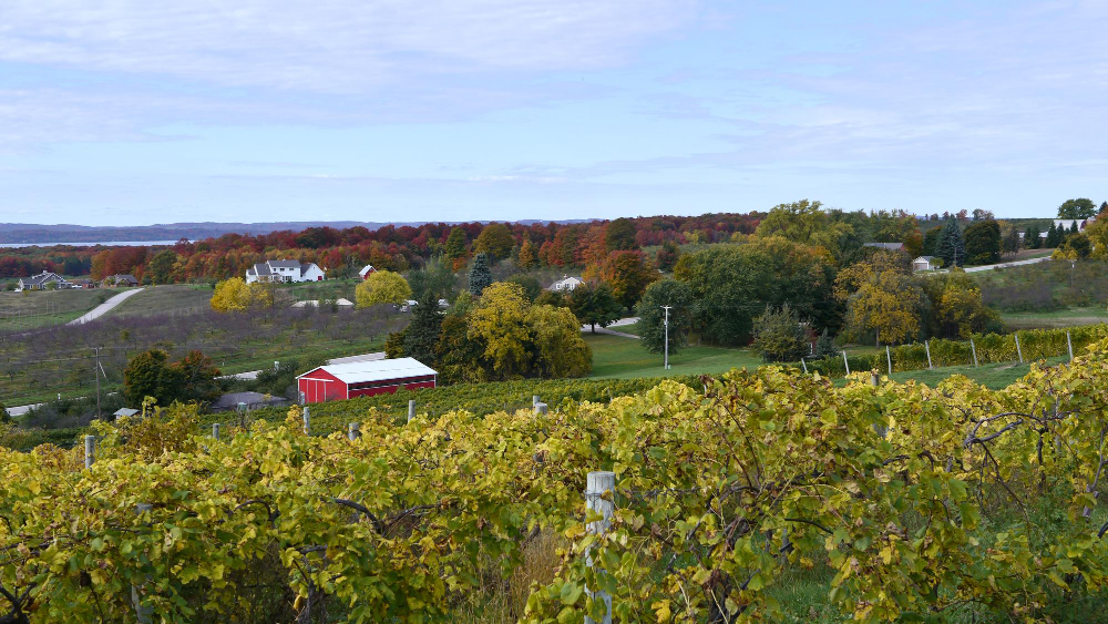 From Vineyards to Barns The Best Alternative Stays in Anna-Jonesboro