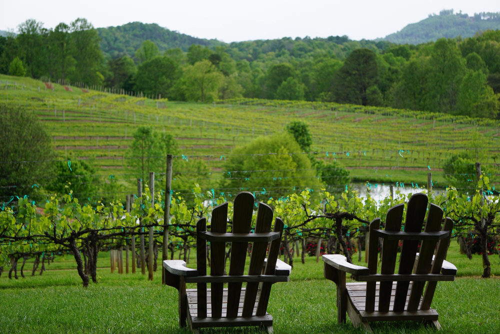 Best Relaxing Retreats Near Wineries in Southern Illinois
